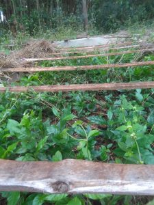 IMG_20250505_155009 (1)